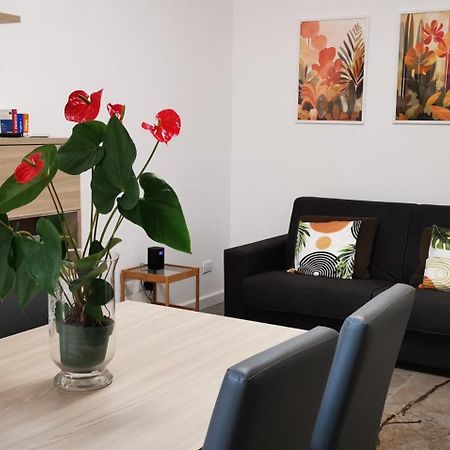 Vatican & Aurelia Apartments 罗马 外观 照片